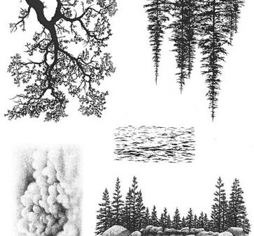Stamscapes(nature sheet #8)